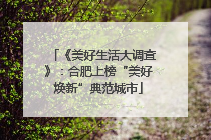 《美好生活大调查》：合肥上榜“美好焕新”典范城市