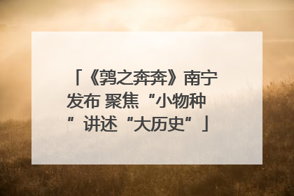 《鹑之奔奔》南宁发布 聚焦“小物种”讲述“大历史”