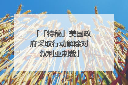 「特稿」美国政府采取行动解除对叙利亚制裁