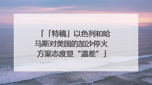 「特稿」以色列和哈马斯对美国的加沙停火方案态度显“温差”