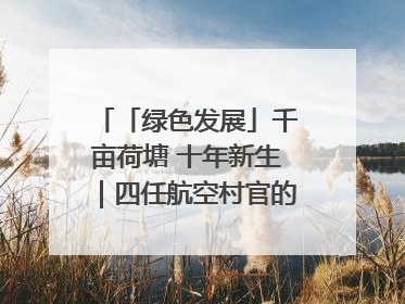 「绿色发展」千亩荷塘 十年新生｜四任航空村官的“生态接力”