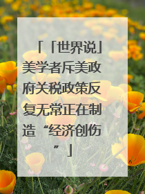 「世界说」美学者斥美政府关税政策反复无常正在制造“经济创伤”