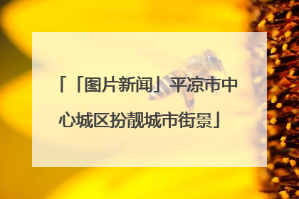 「图片新闻」平凉市中心城区扮靓城市街景