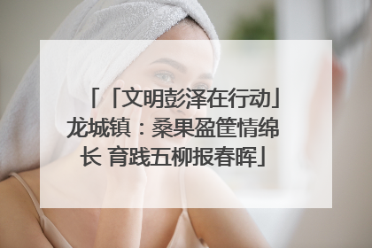 「文明彭泽在行动」龙城镇：桑果盈筐情绵长 育践五柳报春晖