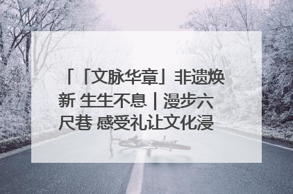 「文脉华章」非遗焕新 生生不息｜漫步六尺巷 感受礼让文化浸润的“巷”往生活