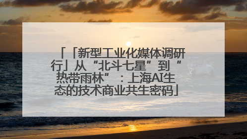 「新型工业化媒体调研行」从“北斗七星”到“热带雨林”：上海AI生态的技术商业共生密码