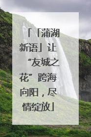 「蒲湖新语」让“友城之花”跨海向阳，尽情绽放