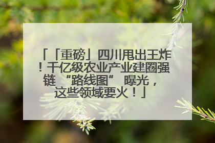「重磅」四川甩出王炸！千亿级农业产业建圈强链 “路线图” 曝光，这些领域要火！