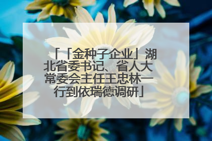 「金种子企业」湖北省委书记、省人大常委会主任王忠林一行到依瑞德调研