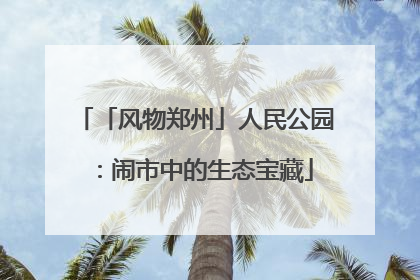 「风物郑州」人民公园：闹市中的生态宝藏