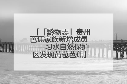 「黔物志」贵州芭蕉家族新增成员——习水自然保护区发现黄苞芭蕉