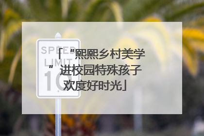“熙熙乡村美学”进校园特殊孩子欢度好时光