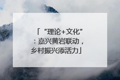“理论+文化”：嘉兴黄岩联动，乡村振兴添活力