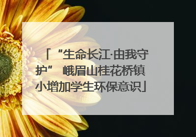“生命长江·由我守护” 峨眉山桂花桥镇小增加学生环保意识
