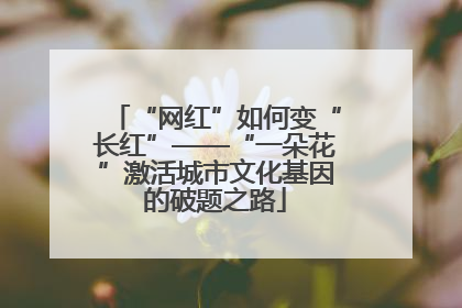 “网红”如何变“长红”——“一朵花”激活城市文化基因的破题之路