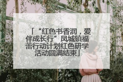 “红色书香润，爱伴成长行”凤城镇福蕾行动计划红色研学活动圆满结束