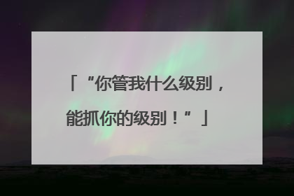 “你管我什么级别，能抓你的级别！”