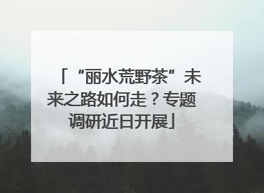 “丽水荒野茶”未来之路如何走？专题调研近日开展