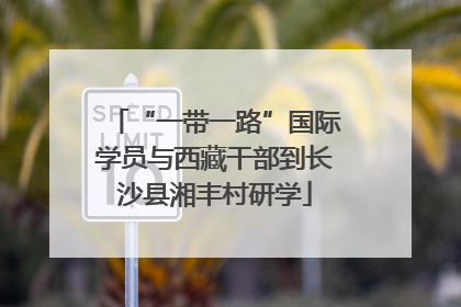 “一带一路”国际学员与西藏干部到长沙县湘丰村研学