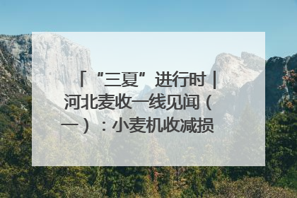 “三夏”进行时｜河北麦收一线见闻（一）：小麦机收减损“竞技” 农机高手麦田“过招”