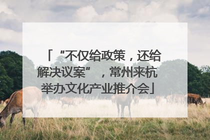 “不仅给政策，还给解决议案”，常州来杭举办文化产业推介会