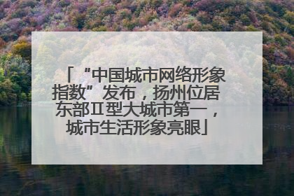 “中国城市网络形象指数”发布，扬州位居东部Ⅱ型大城市第一，城市生活形象亮眼