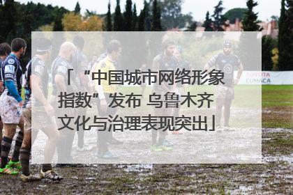 “中国城市网络形象指数”发布 乌鲁木齐文化与治理表现突出