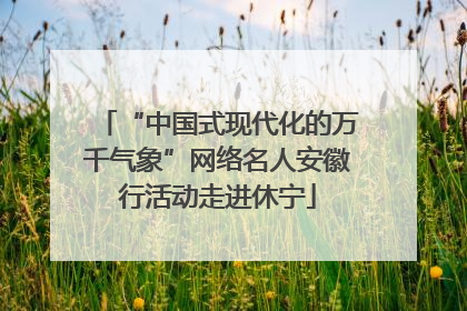 “中国式现代化的万千气象”网络名人安徽行活动走进休宁