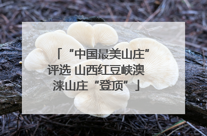 “中国最美山庄”评选 山西红豆峡澳涞山庄“登顶”