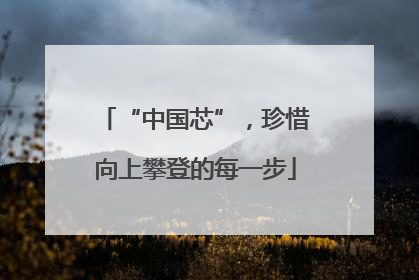 “中国芯”，珍惜向上攀登的每一步