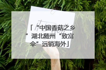 “中国香菇之乡”湖北随州“致富伞”远销海外
