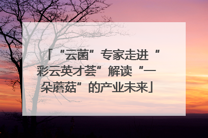 “云菌”专家走进“彩云英才荟”解读“一朵蘑菇”的产业未来