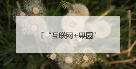 “互联网+果园”让桂林灌阳李子果香飘上“云端”