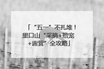 “五一”不扎堆！里口山“采摘+撸宠+露营”全攻略