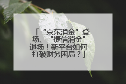 “京东消金”登场、“捷信消金”退场！新平台如何打破财务困局？