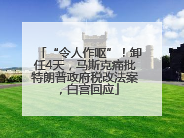 “令人作呕”！卸任4天，马斯克痛批特朗普政府税改法案，白宫回应