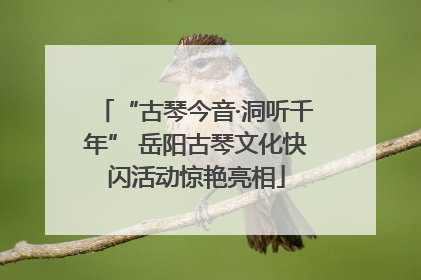 “古琴今音·洞听千年” 岳阳古琴文化快闪活动惊艳亮相