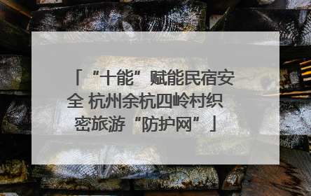 “十能”赋能民宿安全 杭州余杭四岭村织密旅游“防护网”