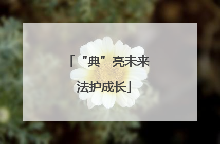“典”亮未来 法护成长