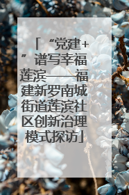 “党建+”谱写幸福莲滨——福建新罗南城街道莲滨社区创新治理模式探访
