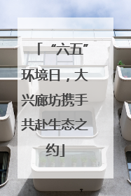 “六五”环境日，大兴廊坊携手共赴生态之约