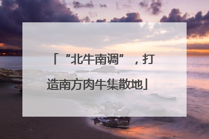 “北牛南调”，打造南方肉牛集散地