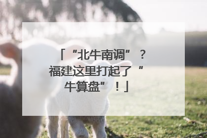 “北牛南调”?福建这里打起了“牛算盘”!