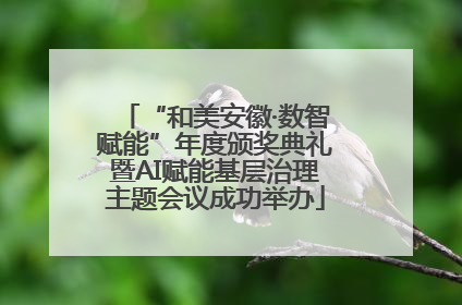 “和美安徽·数智赋能”年度颁奖典礼暨AI赋能基层治理主题会议成功举办