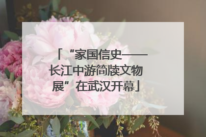 “家国信史——长江中游简牍文物展”在武汉开幕