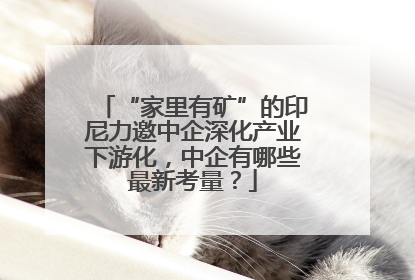 “家里有矿”的印尼力邀中企深化产业下游化，中企有哪些最新考量？