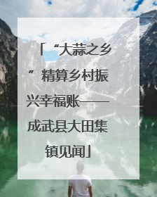 “大蒜之乡”精算乡村振兴幸福账——成武县大田集镇见闻