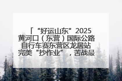“好运山东”2025黄河口（东营）国际公路自行车赛东营区龙居站 完美“抄作业”，苦战最后时刻黄衫易主
