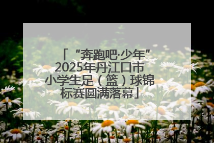 “奔跑吧·少年”2025年丹江口市小学生足（篮）球锦标赛圆满落幕