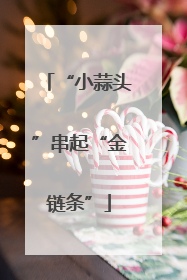 “小蒜头”串起“金链条”